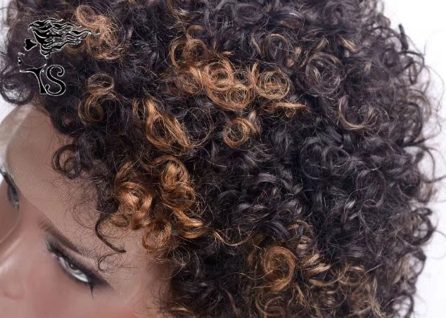 Человеческие волосы париков шнурка Ремы короткого Кинкы курчавого индейца полные для Афро-американских женщин